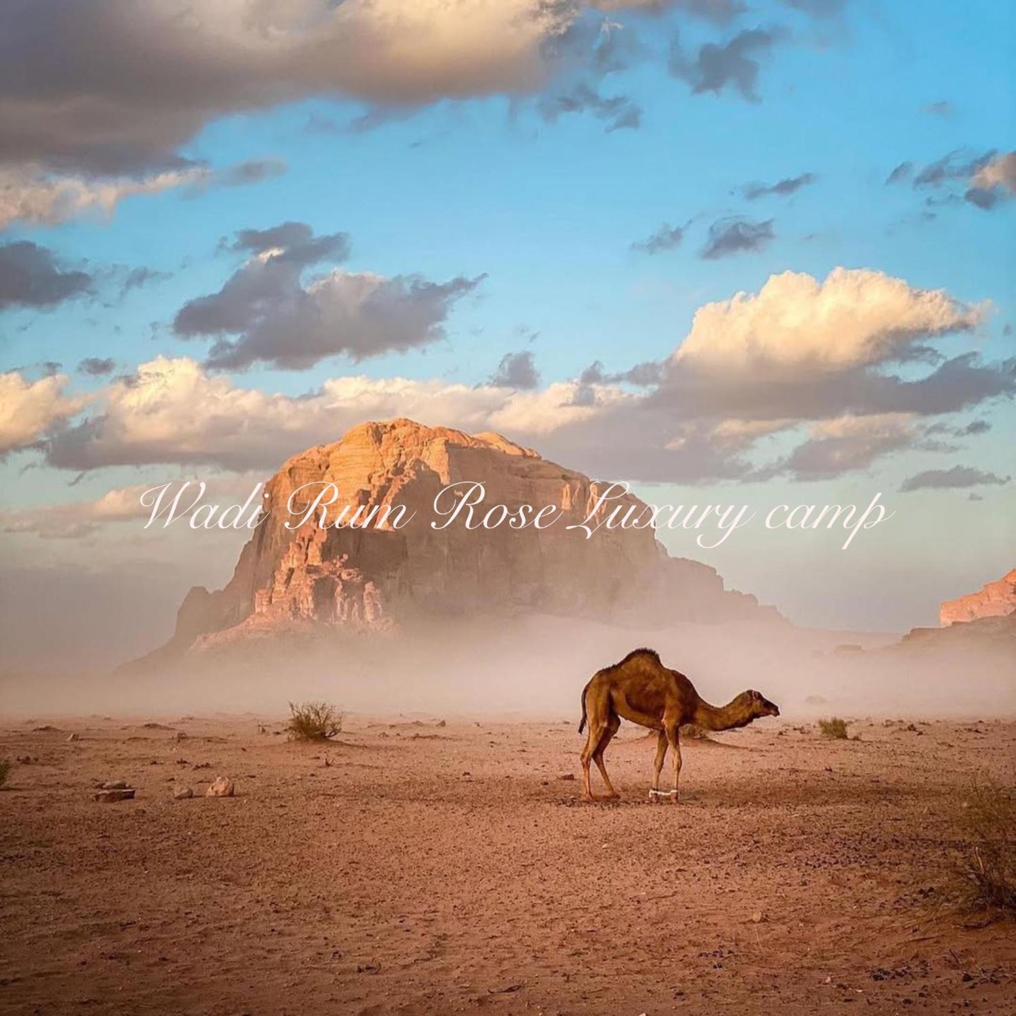 Wadi Rum Rose Luxury Camp Extérieur photo