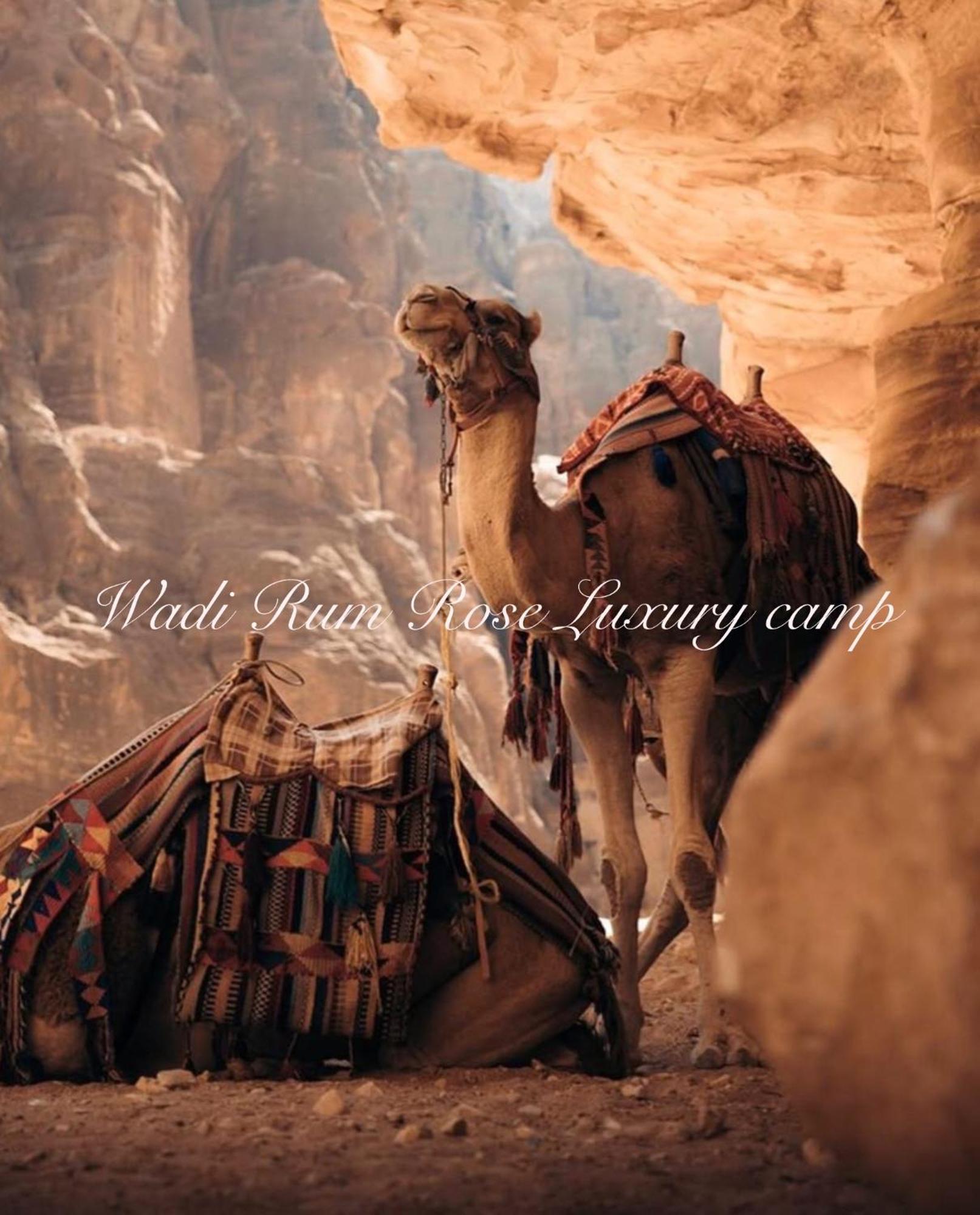 Wadi Rum Rose Luxury Camp Extérieur photo